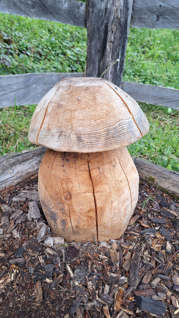 Champignons (bolet, morille)