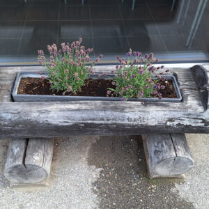 Bassins pour fleurs avec pieds vissés