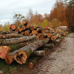 Bois de feu long résineux/feuillus